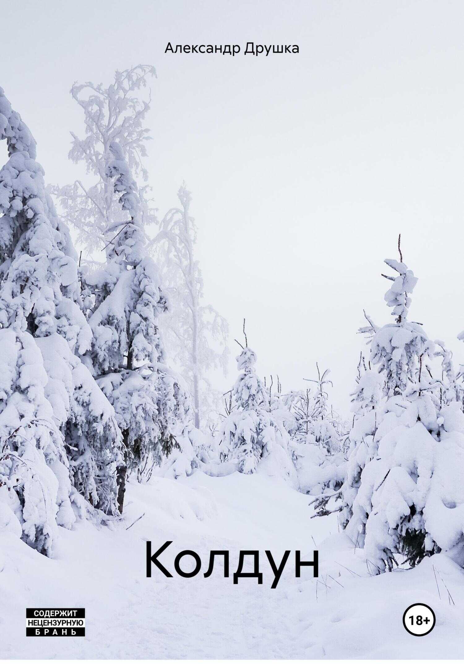 Колдун - Александр Друшка