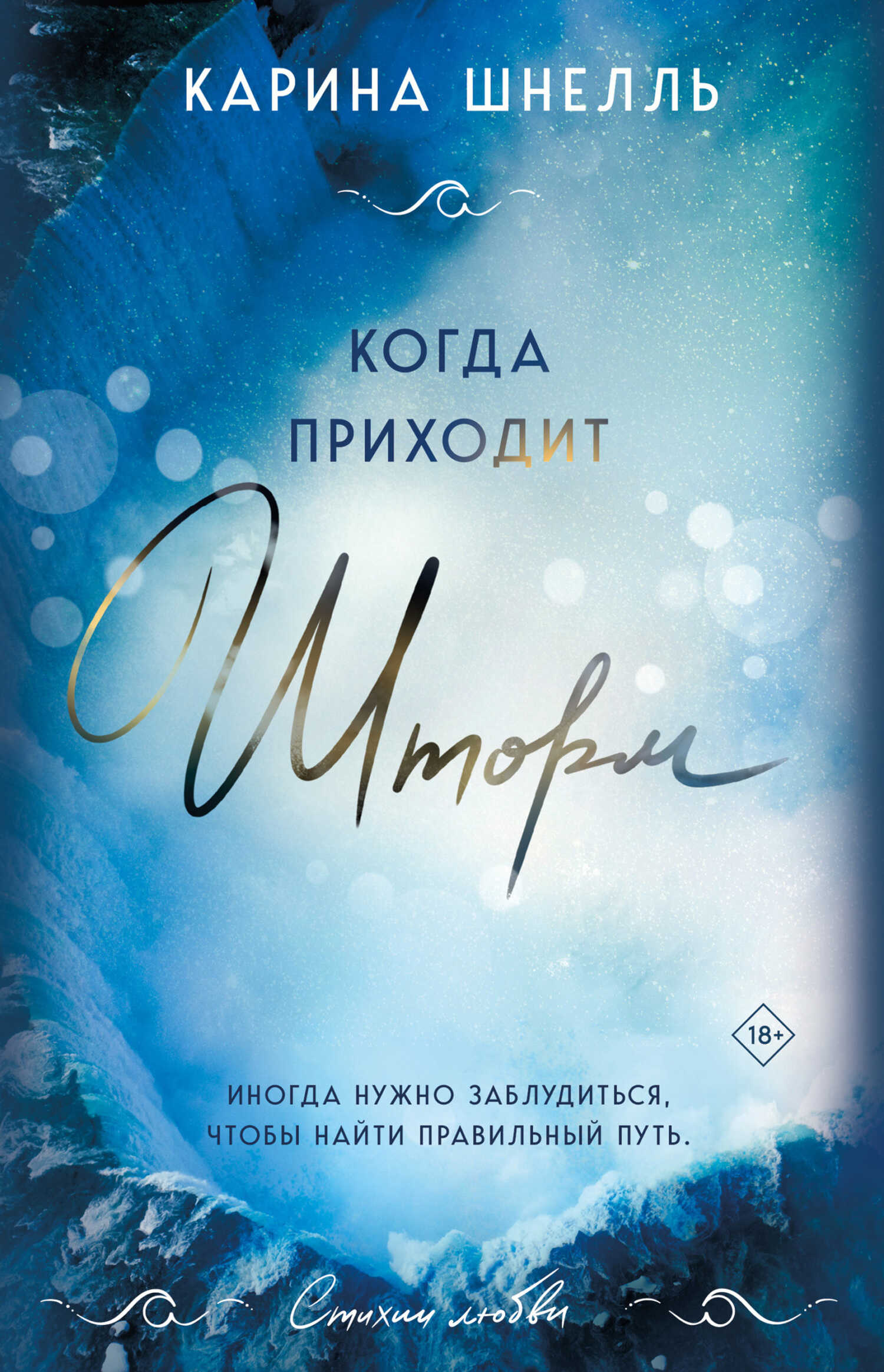 Когда приходит шторм - Карина Шнелль