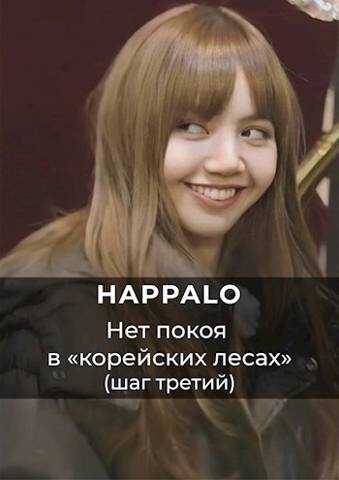 Нет покоя в "корейских лесах". (Шаг третий) - Happalo