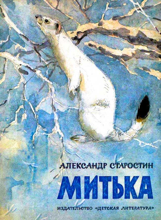 Митька - Александр Степанович Старостин