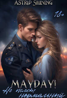 Mayday! Но полёт нормальный - Васильев