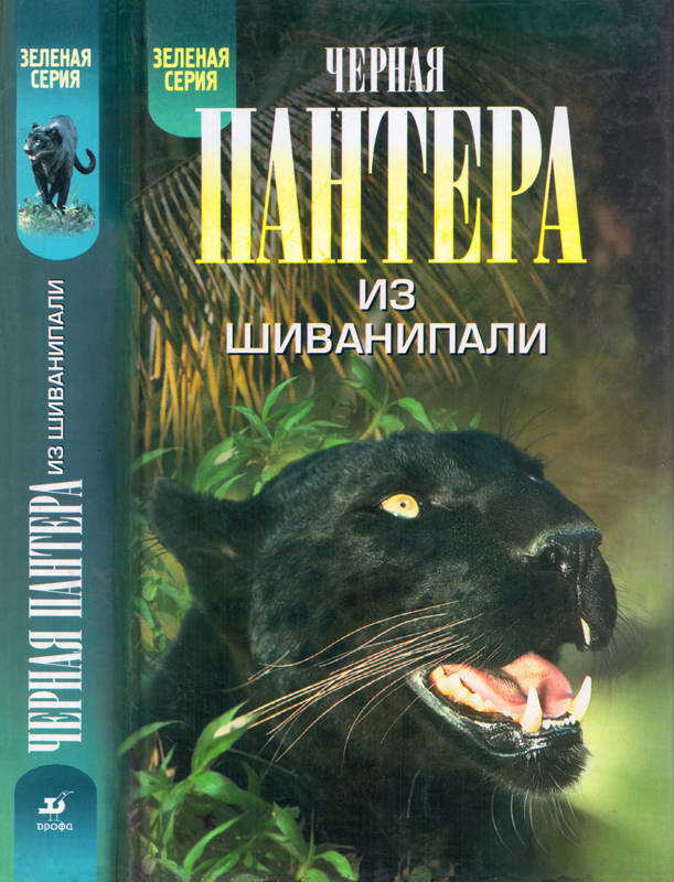 Черная пантера из Шиванипали - Кеннет Андерсон