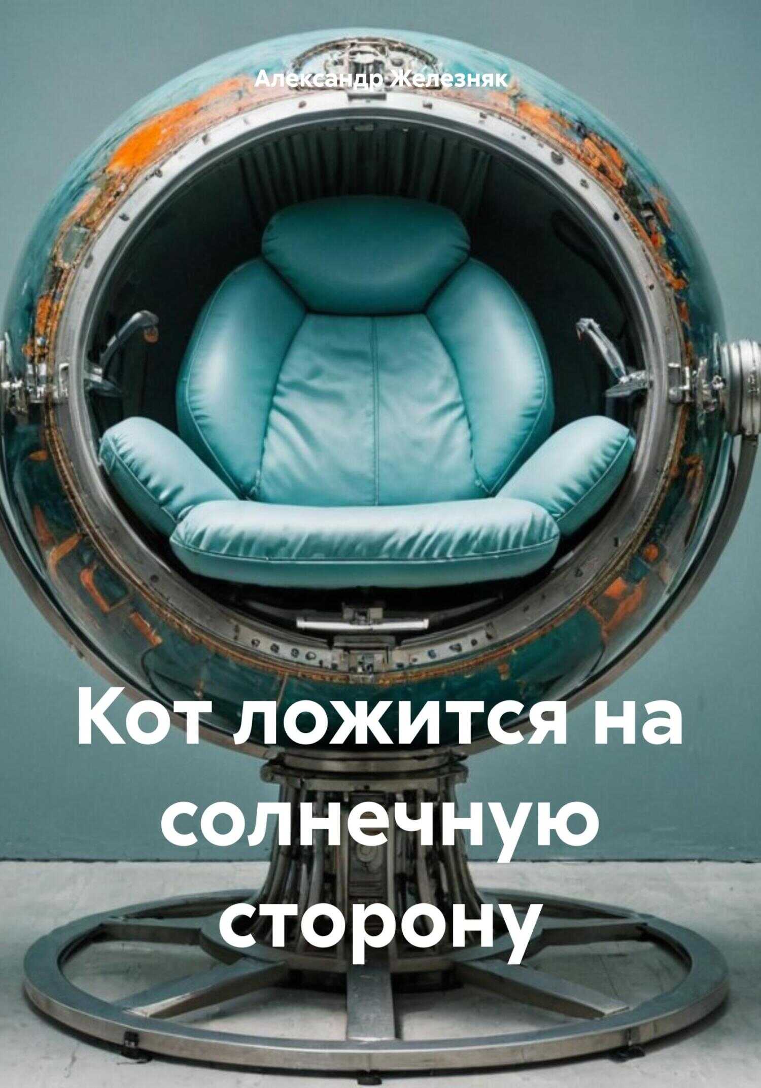 Кот ложится на солнечную сторону - Александр Железняк