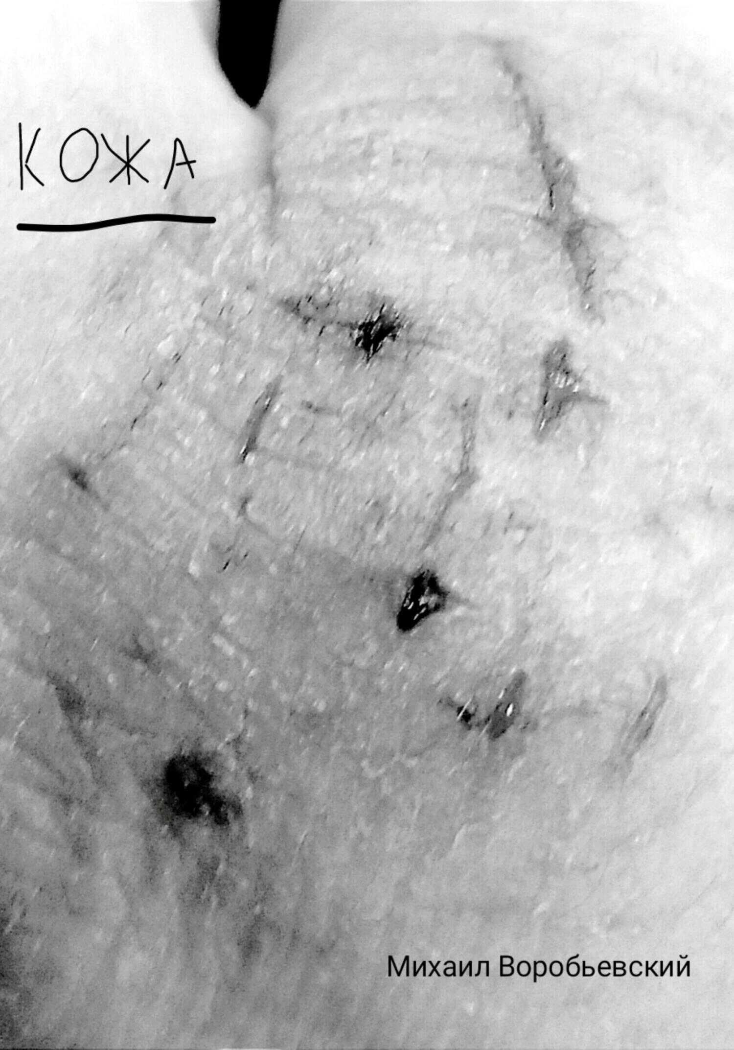 Кожа - Михаил Юрьевич Воробьевский
