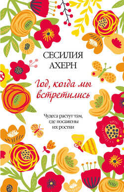 Год, когда мы встретились - Ахерн Сесилия