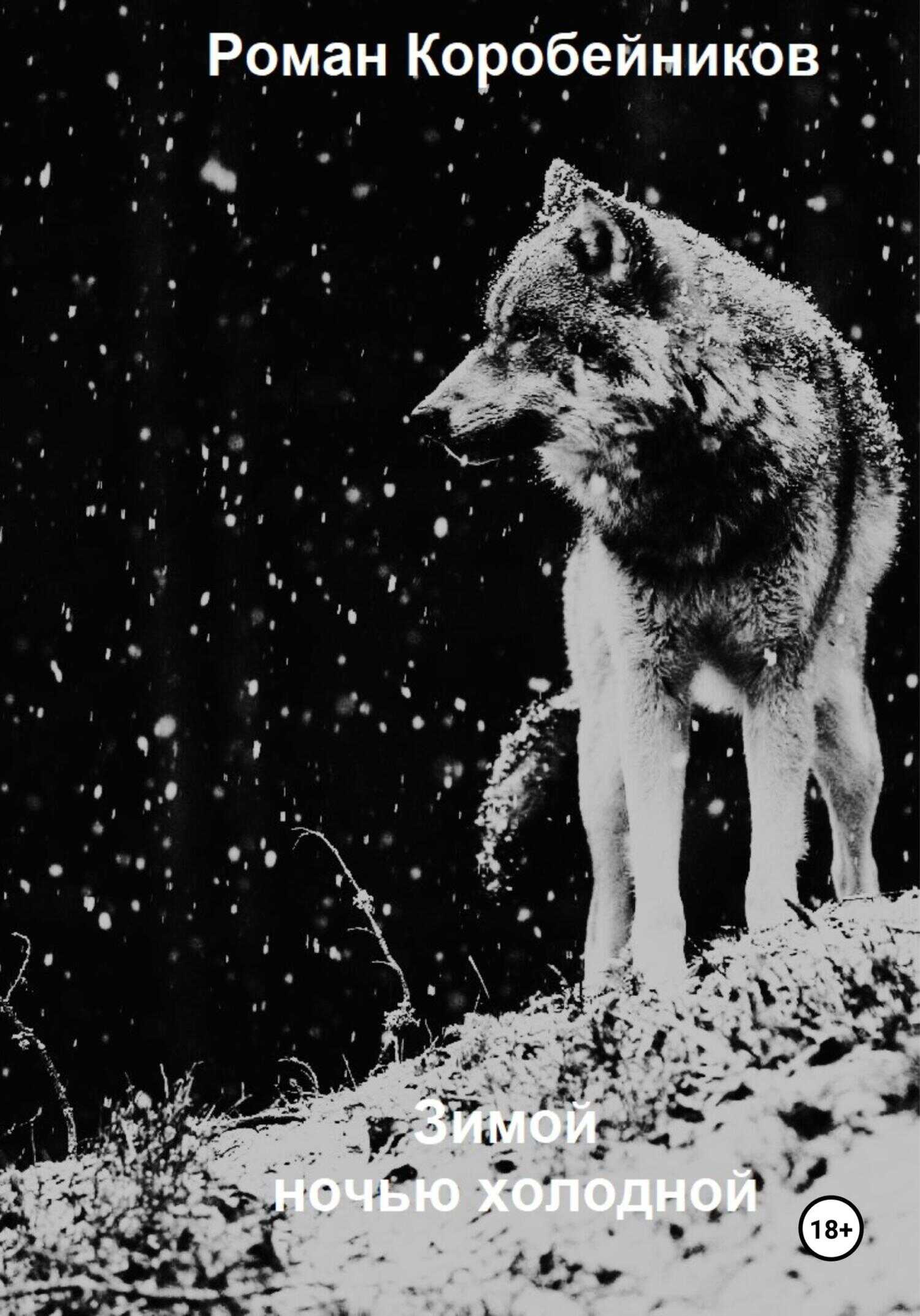 Зимой ночью холодной - Роман Юрьевич Коробейников