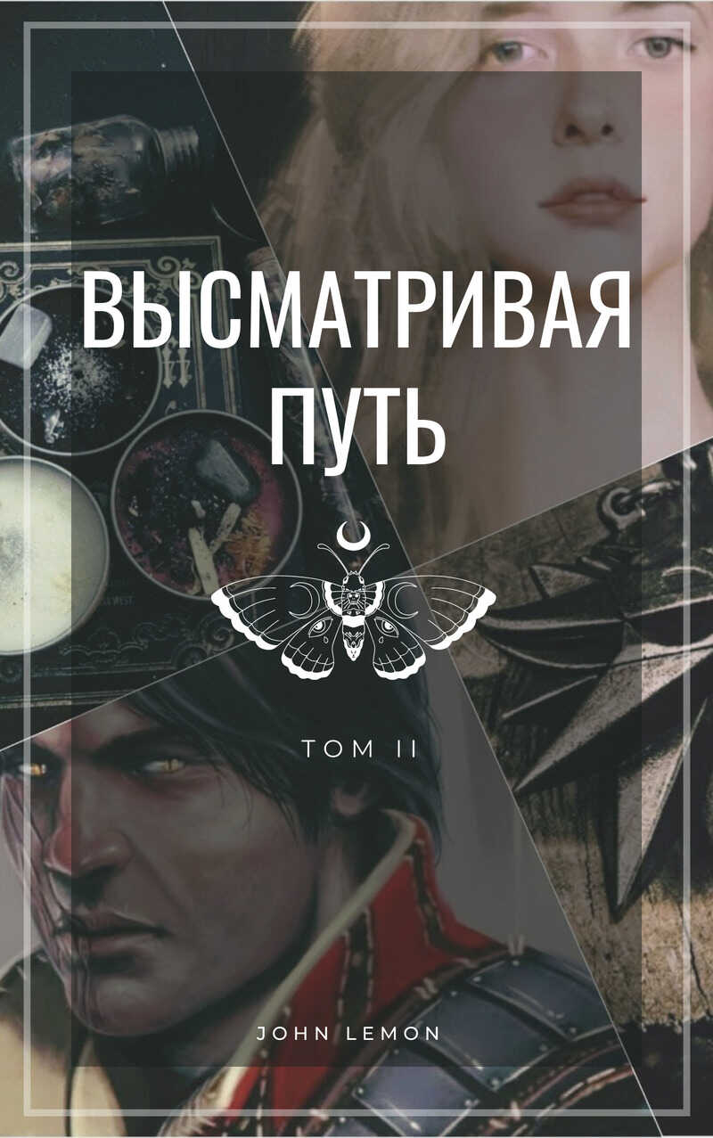 Высматривая путь. Том II  - Борчанинов