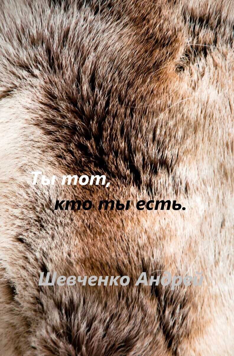 Ты тот, кто ты есть - Андрей Шевченко
