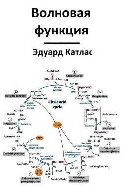 Волновая функция  - Катлас Эдуард