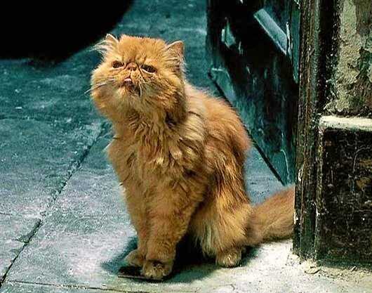 Профессор и Чудовище - Drabble_NK