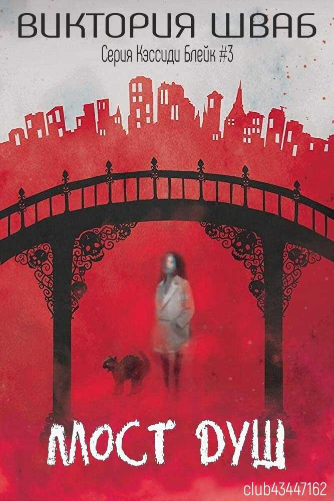 Мост душ - Виктория Шваб