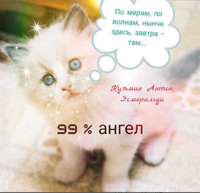 По мирам, по волнам, нынче здесь, завтра -там... - Антон Аркадьевич Кузьмин