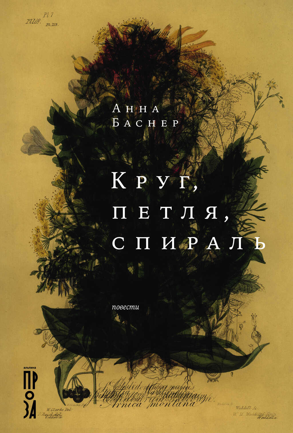 Круг, петля, спираль - Анна Баснер