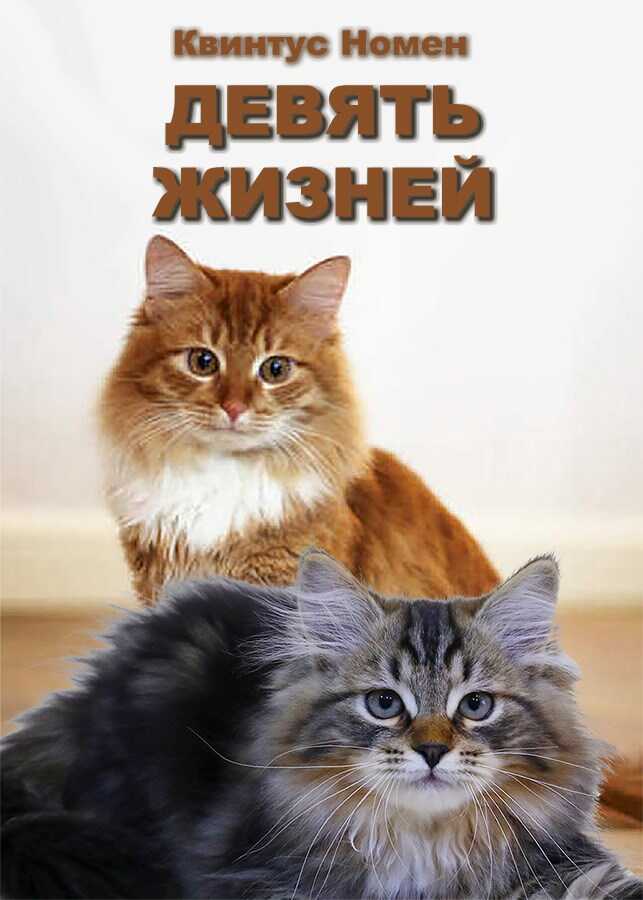 Девять жизней - Квинтус Номен