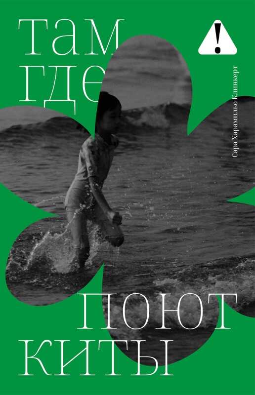 Там, где поют киты - Сара Харамильо Клинкерт