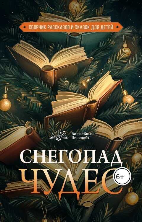 Снегопад чудес - Куринь