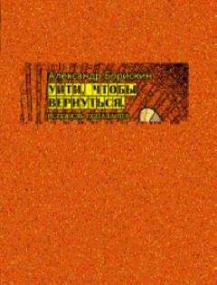Александр Борискин - Уйти, чтобы вернуться. Исповедь попаданца