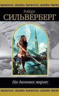 Роберт Силверберг - Иголка в стогу времени