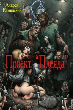 Андрей Каминский - Проект "Плеяда"